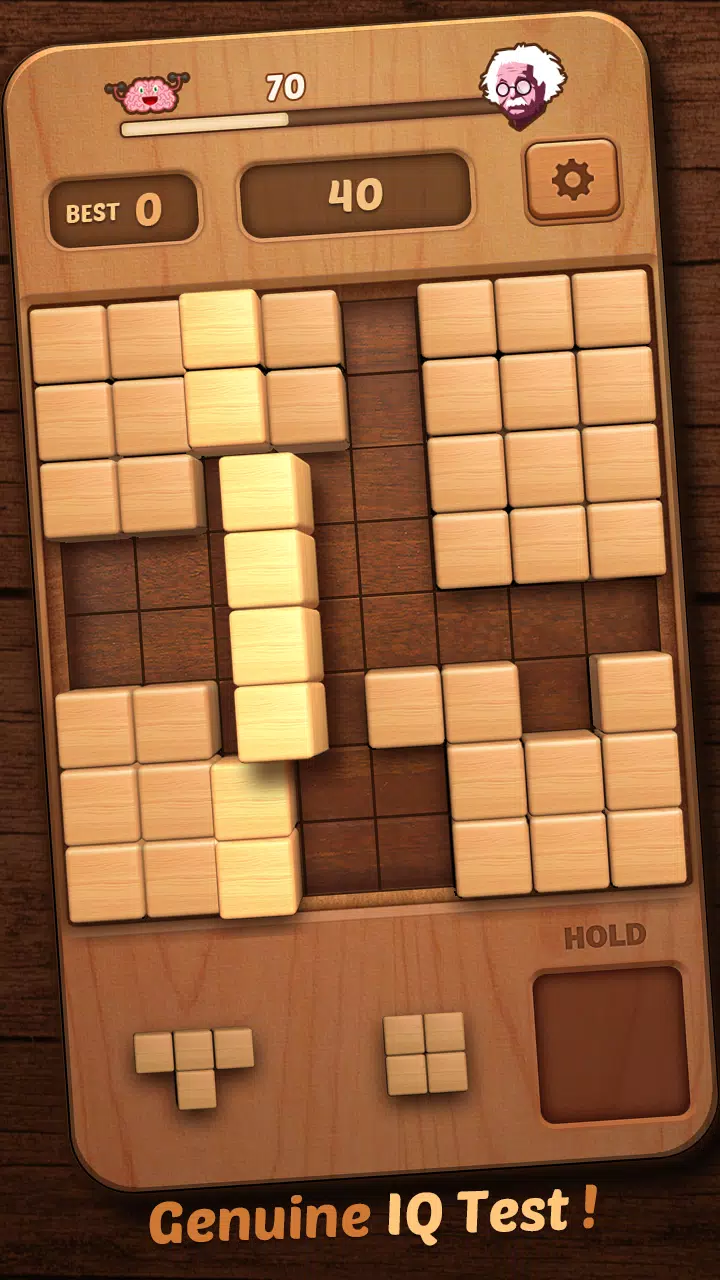 Wood Block Puzzle 3D应用截图第3张