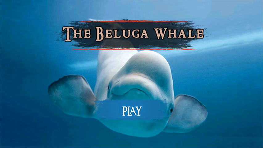 The Beluga Whale Screenshot 2