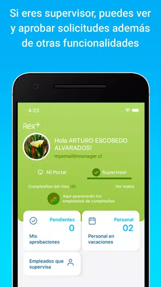 Rex+ Remuneraciones Zrzut ekranu 1
