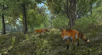 VR ZOO Safari Park Animal Game Screenshot 2