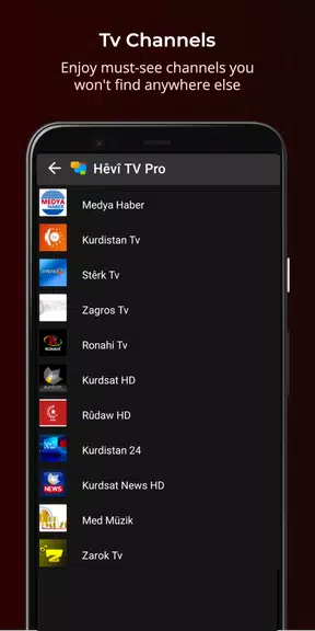 Hêvî TV Pro Screenshot 3