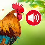 Animal sounds & Bird songs