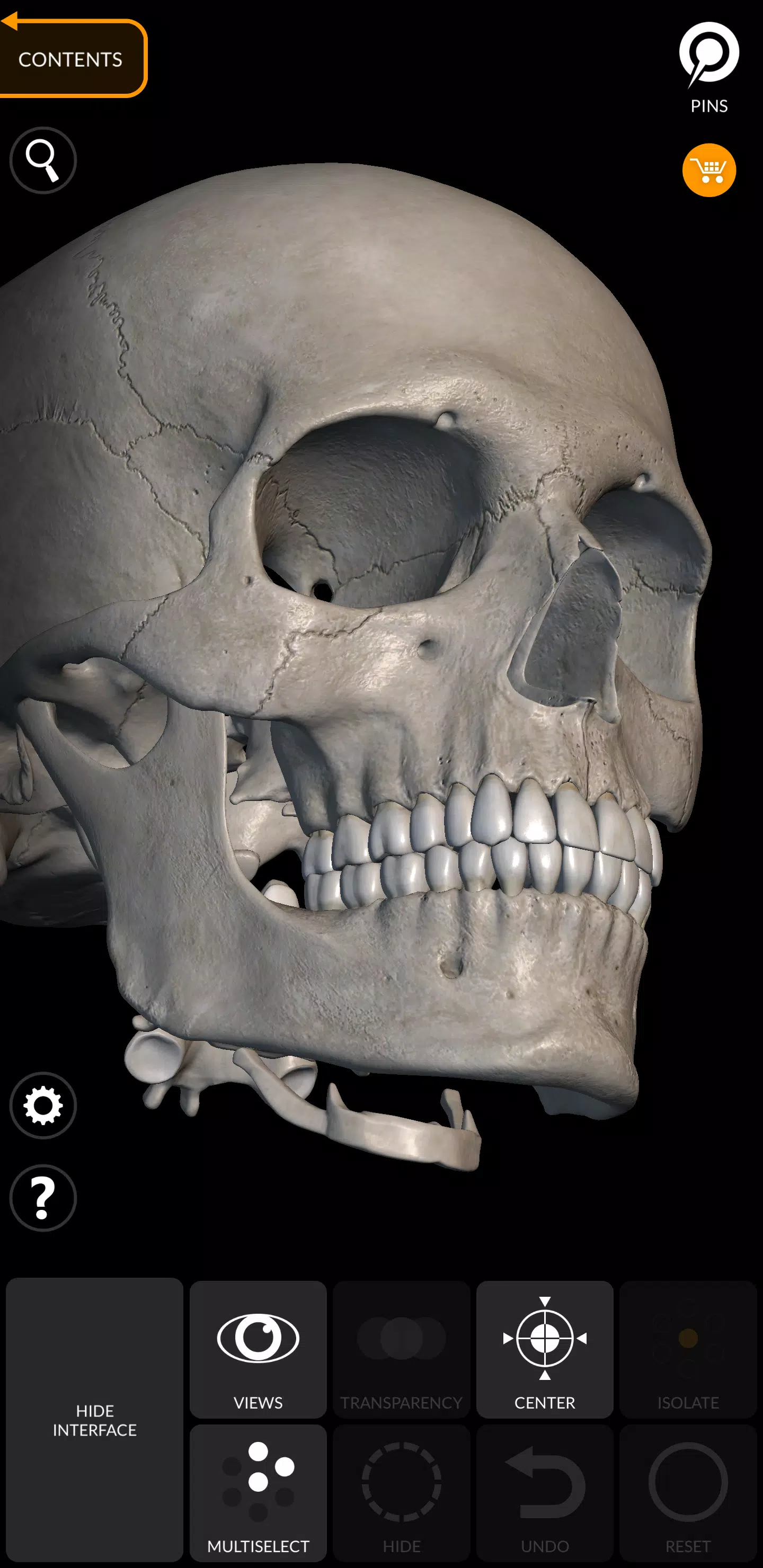 Skeleton Schermafbeelding 3