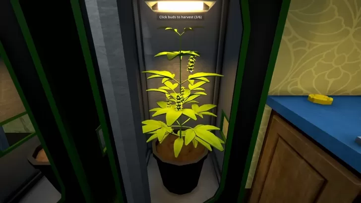 마약 딜러 시뮬레이터 개발사, 팬들의 역공세 직면