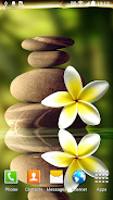 Zen Garden Live Wallpaper Tangkapan skrin 1