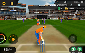 Cricket Unlimited 2017 Screenshot 2