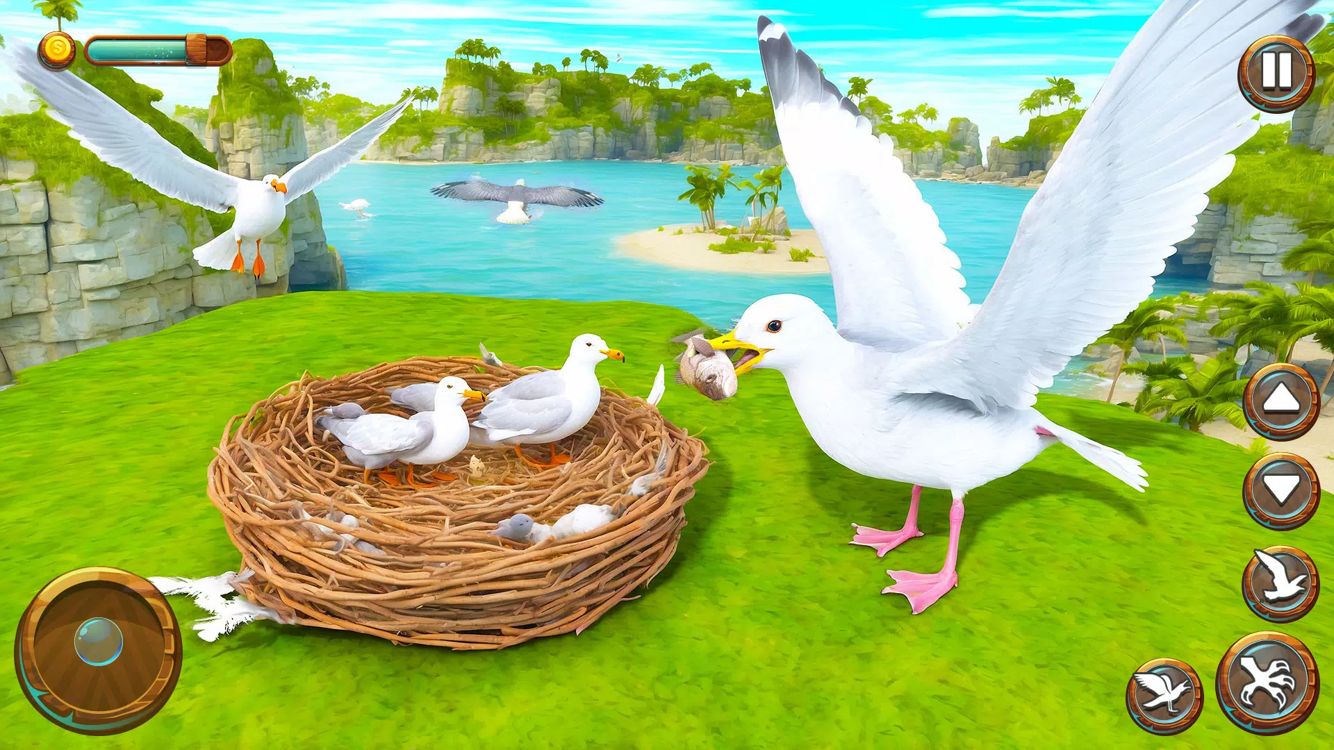 Seagull Bird Life Simulator 스크린샷 3