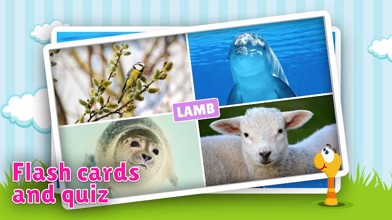 Animal flashcard & sounds Screenshot 1