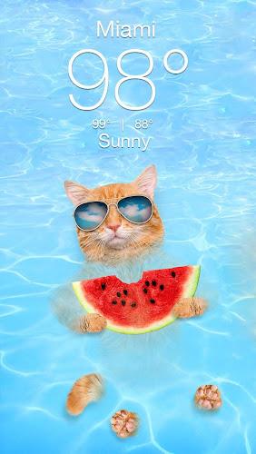 Weather Kitty - App & Widget Ekran Görüntüsü 1