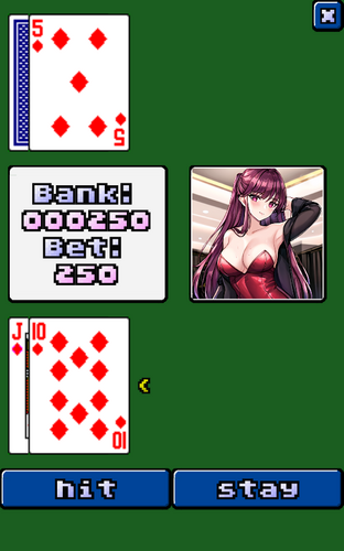 video blackjack應用截圖第2張