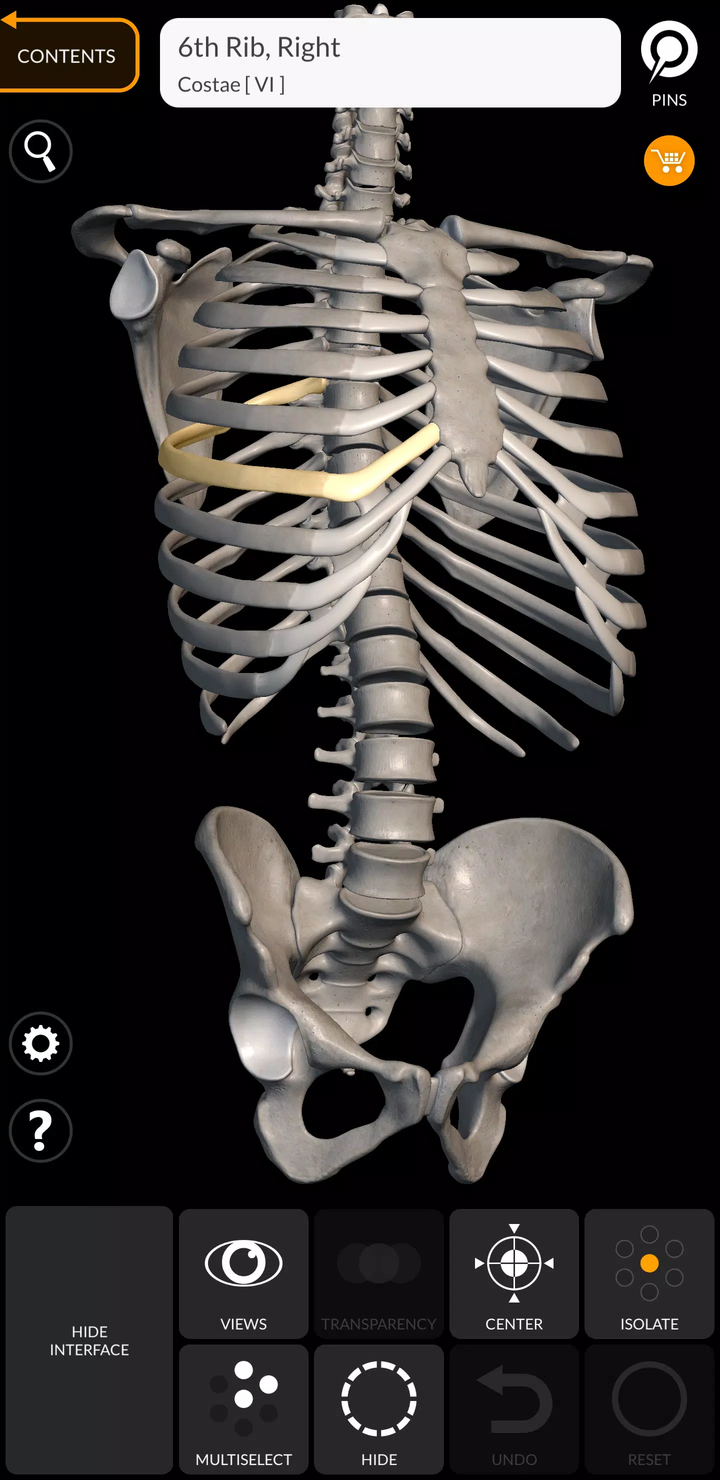 Skeleton Schermafbeelding 0