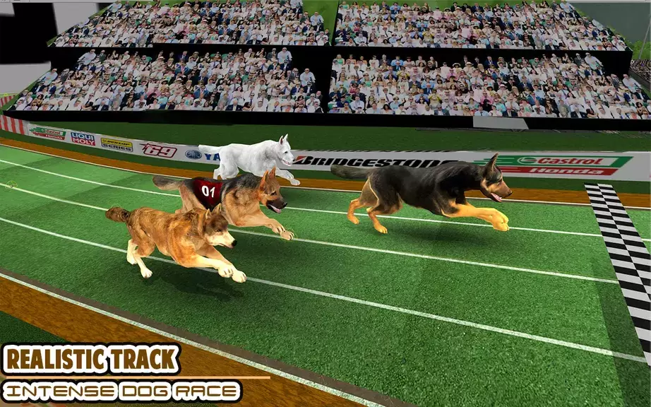 Dog racing games - dog game 3d Zrzut ekranu 0