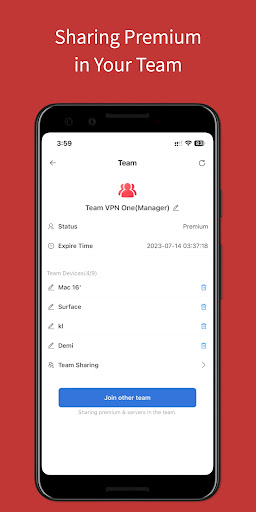 Team VPN ဖန်သားပြင်ဓာတ်ပုံ 2