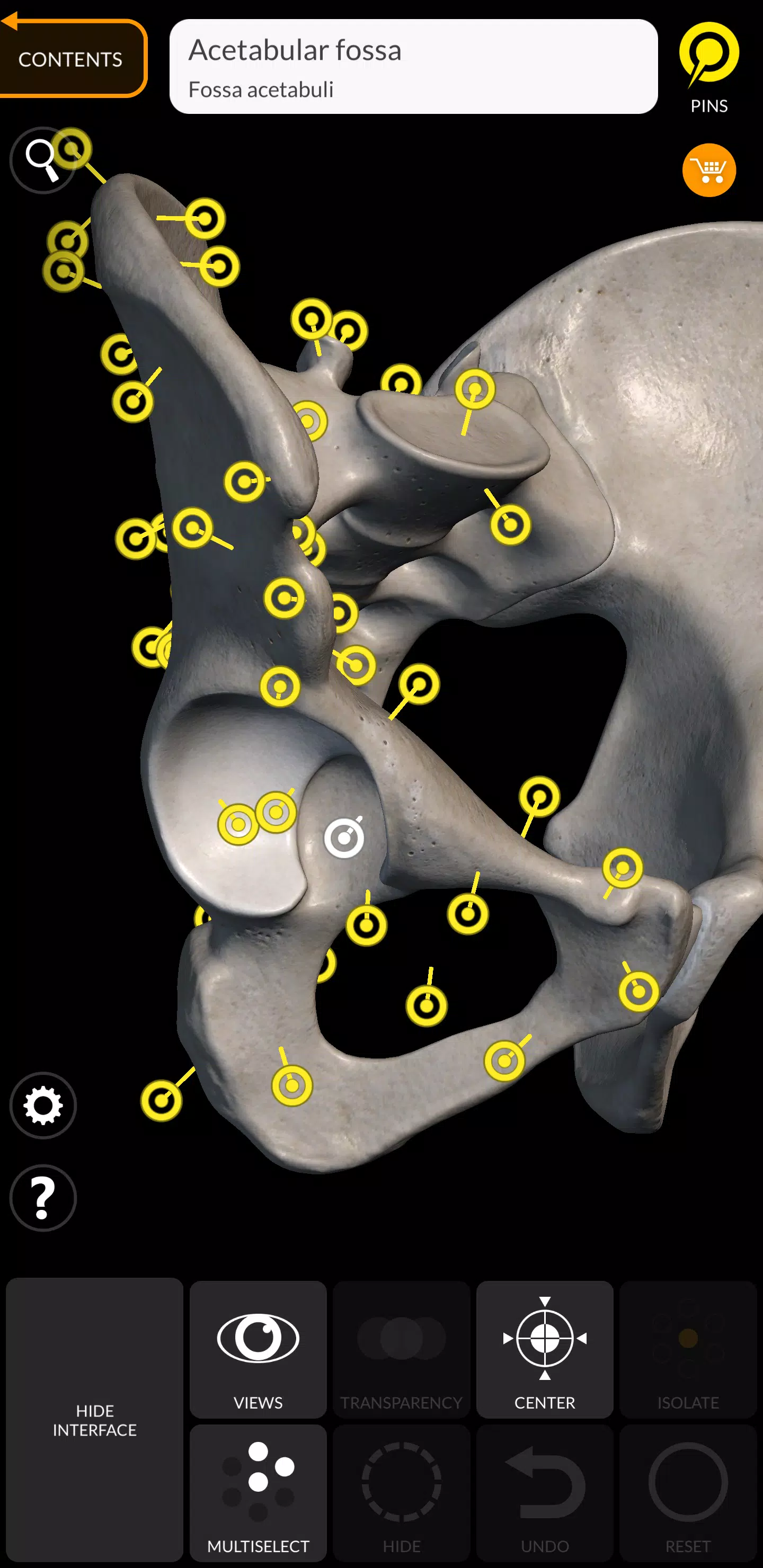 Skeleton ภาพหน้าจอ 1