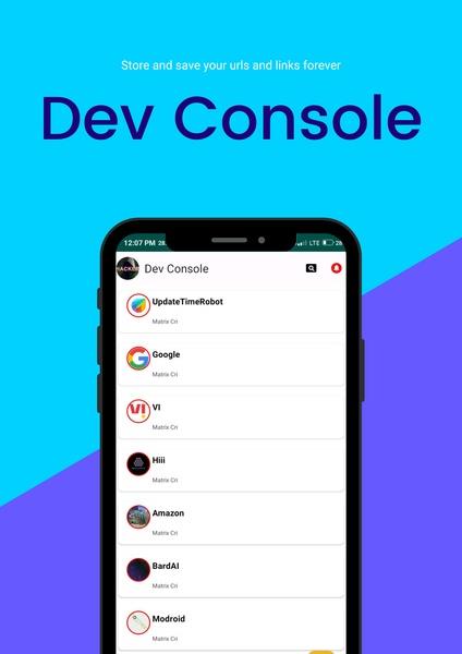 Dev Console Screenshot 2