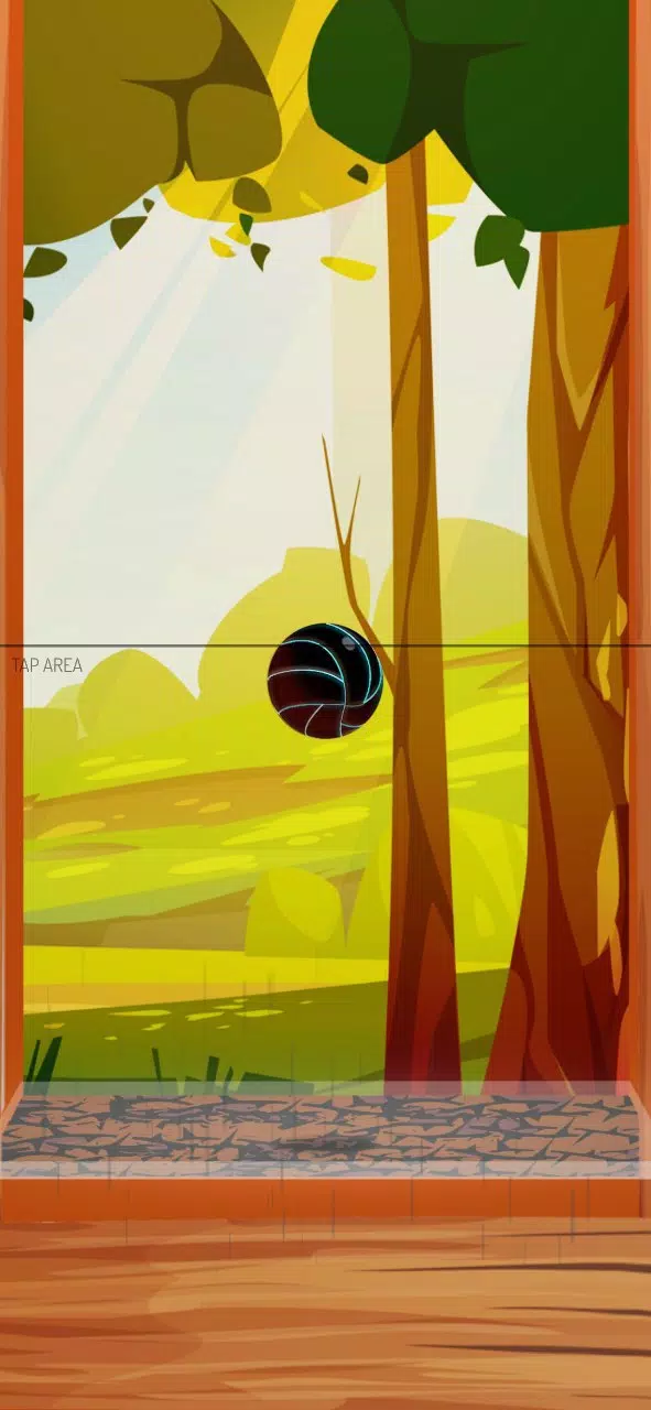 Dirs Dirs Ball 스크린샷 1