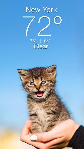 Weather Kitty - App & Widget Ekran Görüntüsü 0