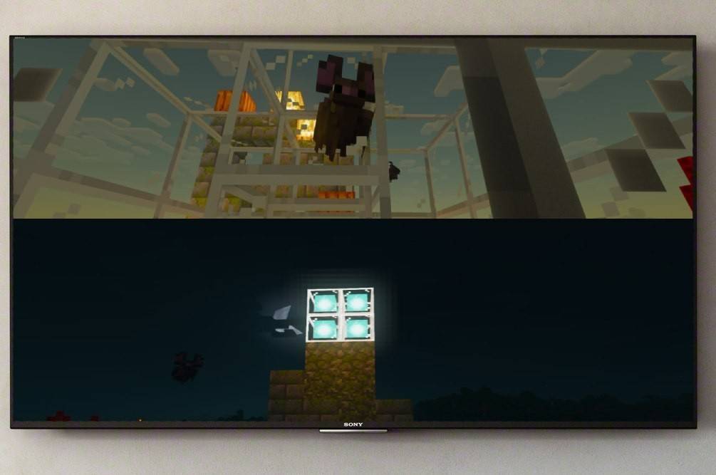 Minecraft의 스플릿 스크린