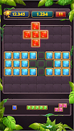 Block Puzzle Jewel Classic Screenshot 1