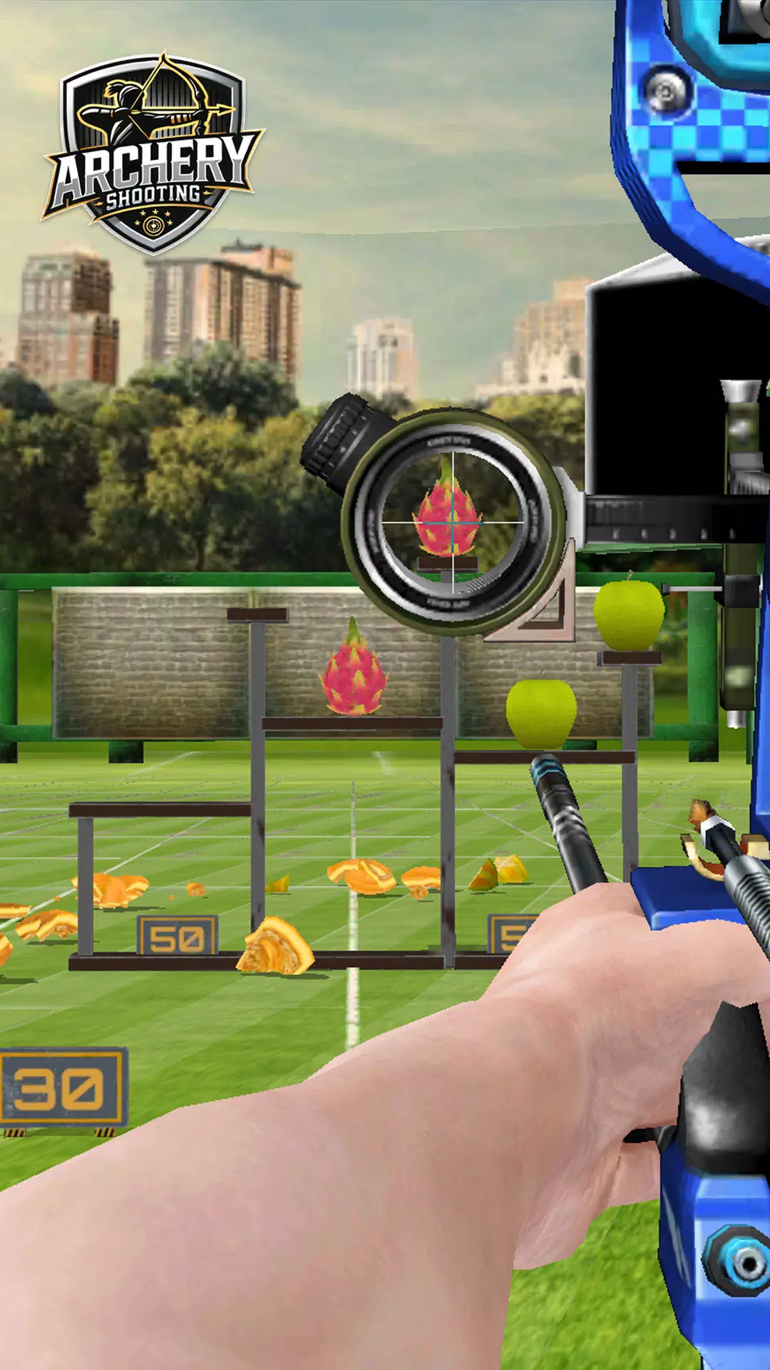 Archery Shooting & Bow Arrow Screenshot 0