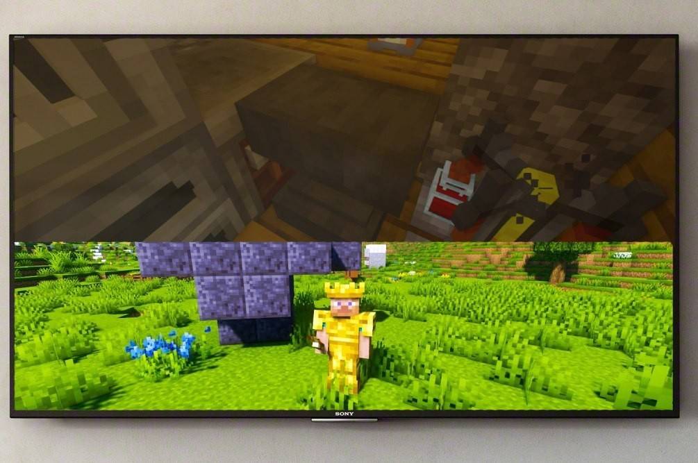 Minecraft의 스플릿 스크린