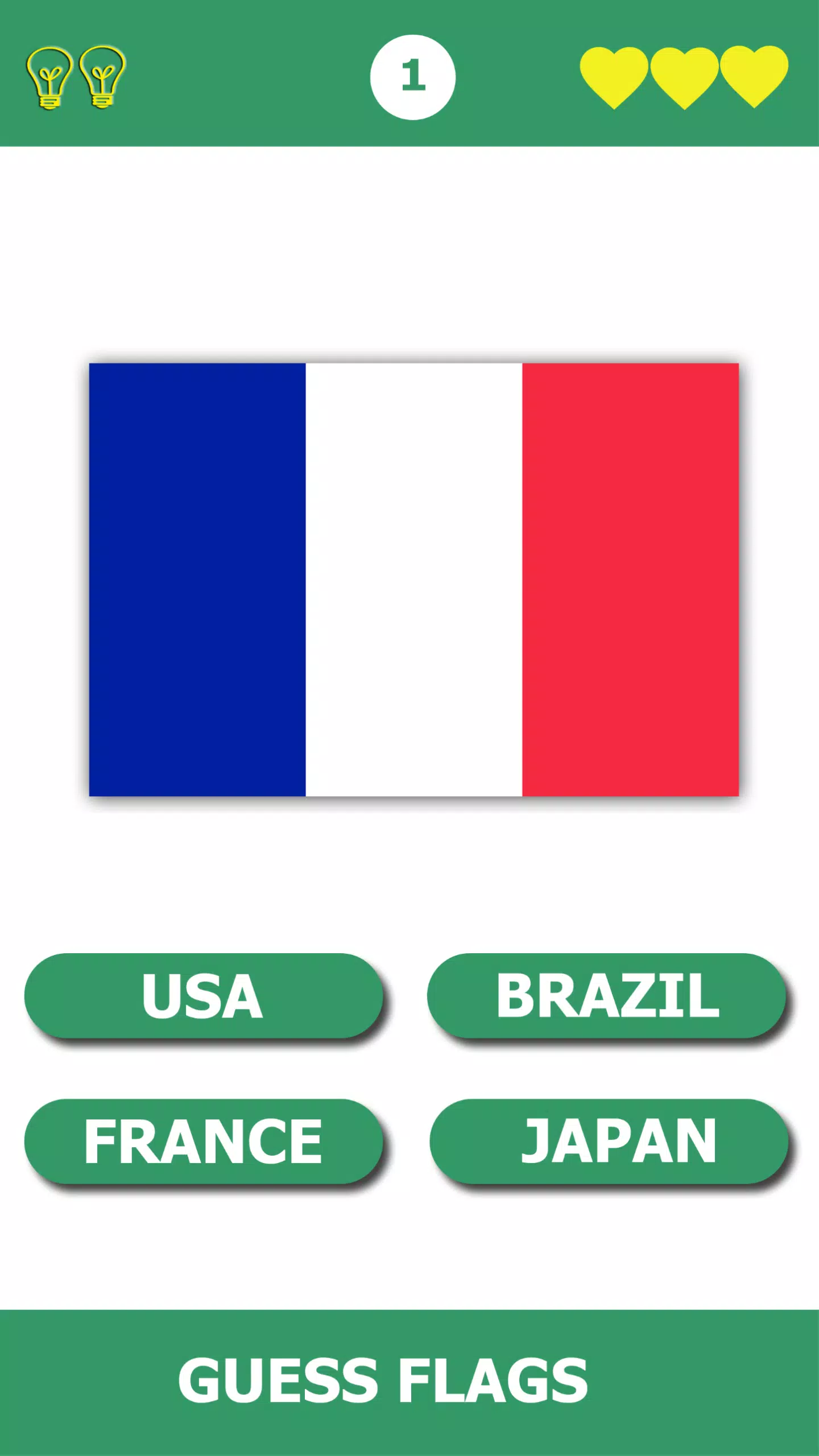 Flag Quiz Gallery Captura de tela 3