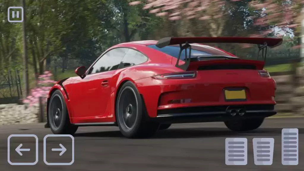 Racing Porsche Carrera 911 GT3 ဖန်သားပြင်ဓာတ်ပုံ 3