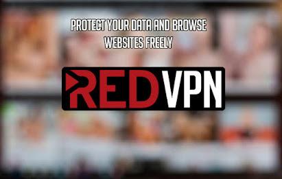 RED VPN - Unblock Websites VPN Captura de tela 2