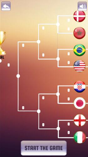 World  Soccer Cup Game Screenshot 3