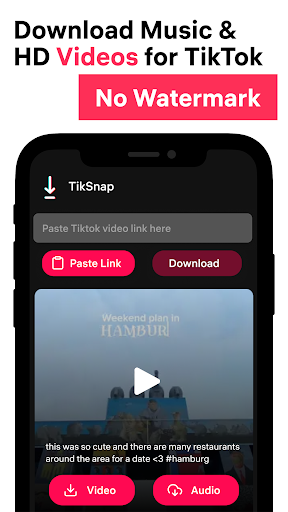 TikSnap: Downloader for TikTok應用截圖第0張