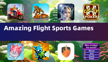 Удивительные игры спортивного полета